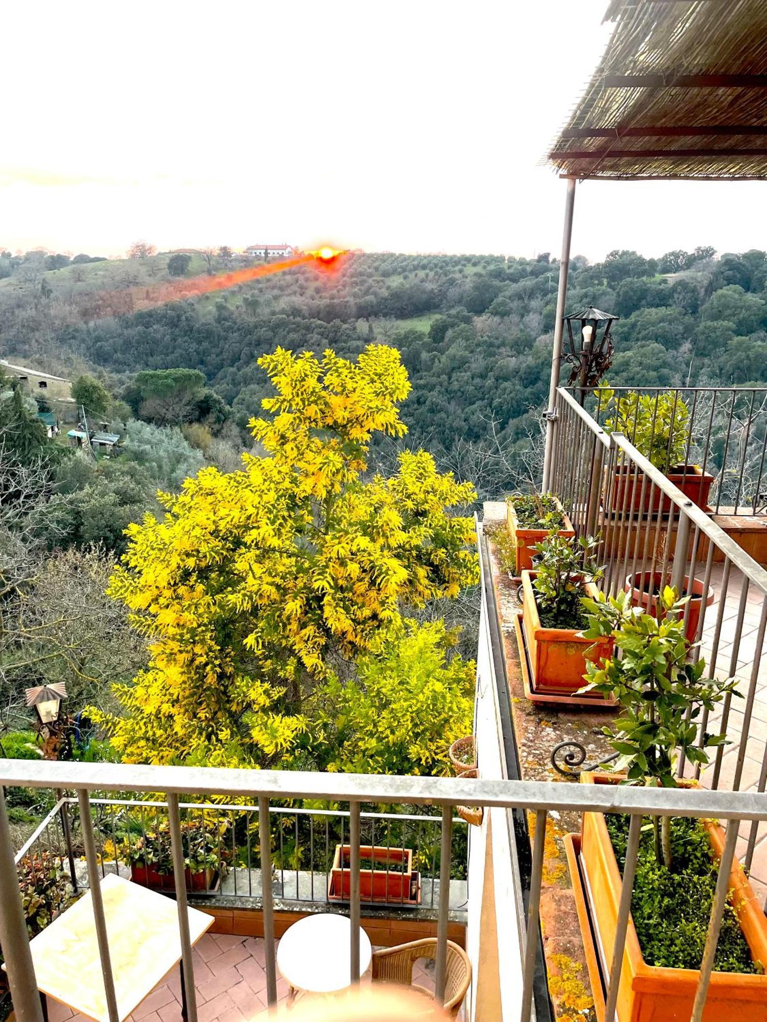 Ghigo La Locanda Di Torquato Montorgiali المظهر الخارجي الصورة